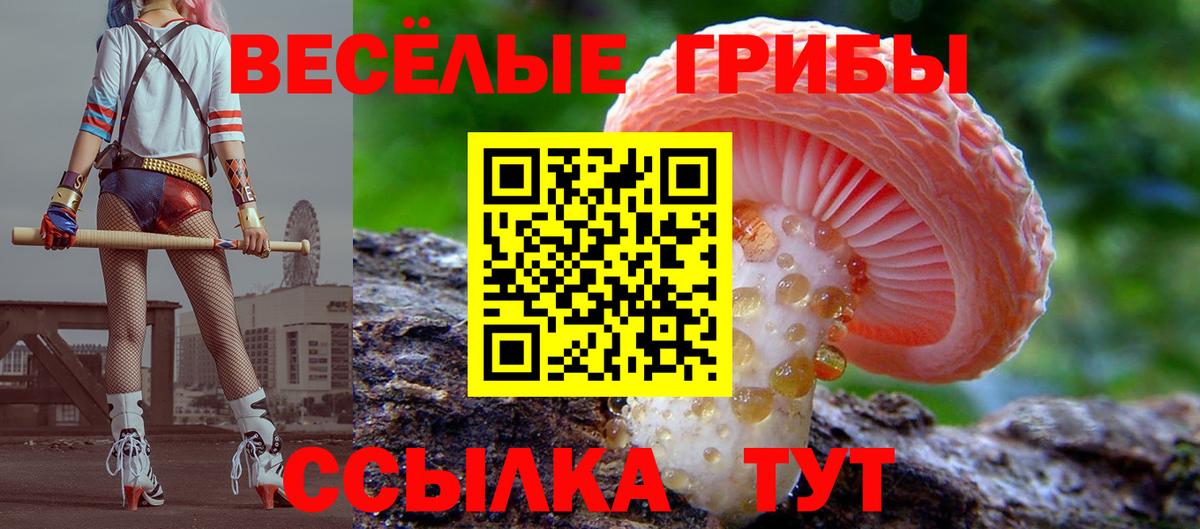 Галлюциногенные грибы MAGIC MUSHROOMS Новодвинск