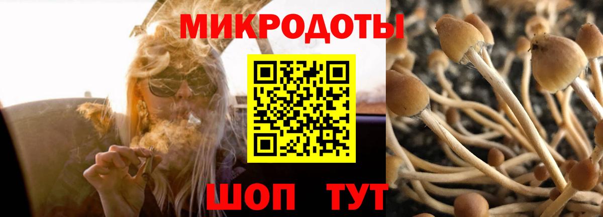 Новодвинск  Галлюциногенные грибы Cubensis  Вход с VPN  Псилоцибиновые грибы мухоморы 